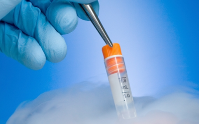 The Advantages of Embryo Freezing: What You Need to Know – Dr. Ila Gupta