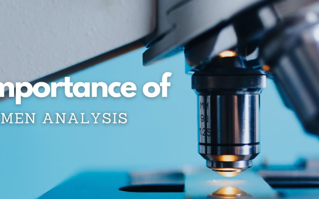 Importance of semen analysis in male infertility treatment